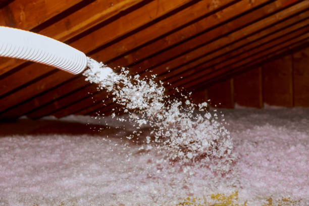 Best Affordable Insulation Services  in Lower Burrell, PA