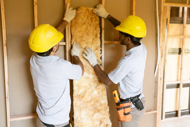 Best Insulation Repair Services  in Lower Burrell, PA